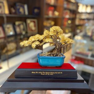 Chậu Cây Tùng La Hán dát vàng (32x29x19cm) - Ảnh 5